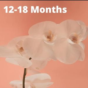 12-18 Month Clothing